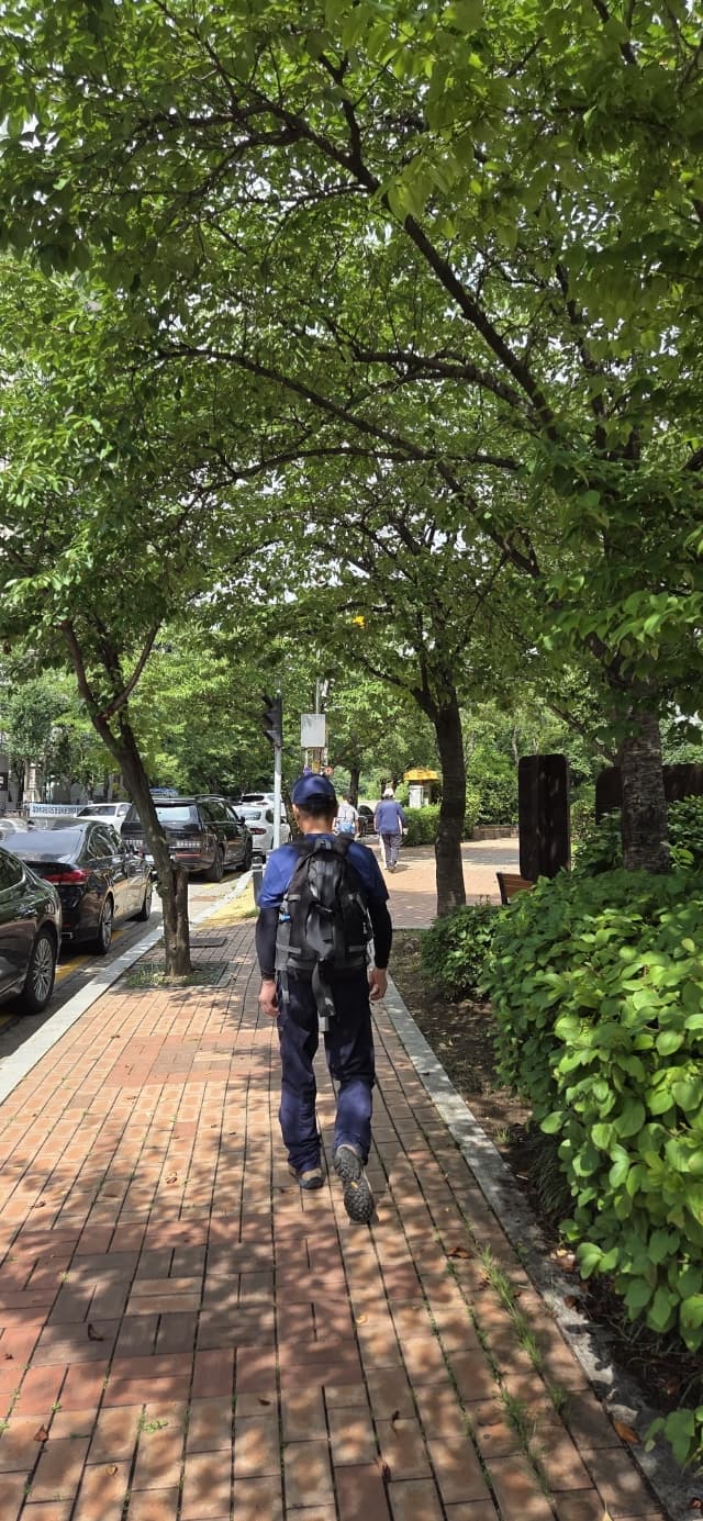 더운 여름에도 하루 만 보를 걷는 이유 출퇴근 길을 이용 습관으로 이어옴 