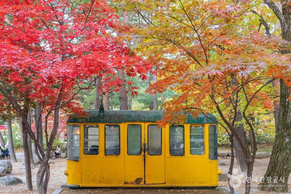 설악산 케이블카 운행시간, 예약, 요금 총정리