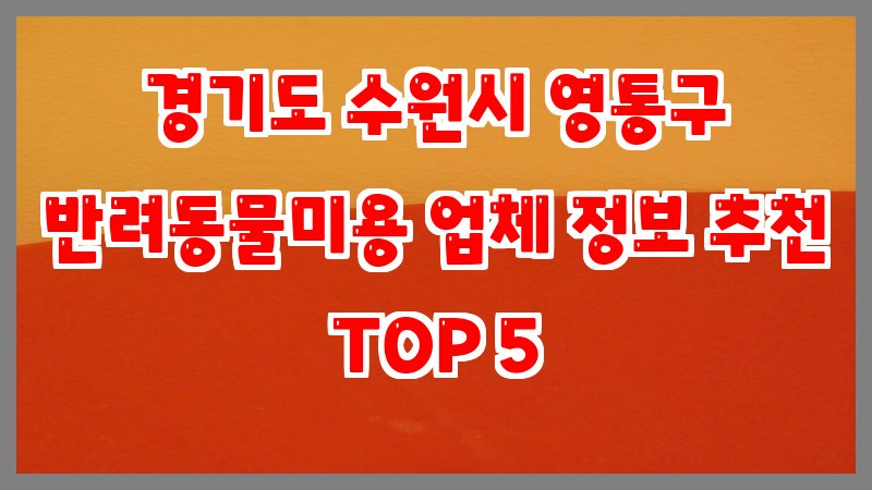 경기도 수원시 영통구 반려동물미용