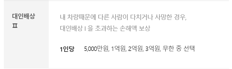 캐롯 자동차보험 보장내용