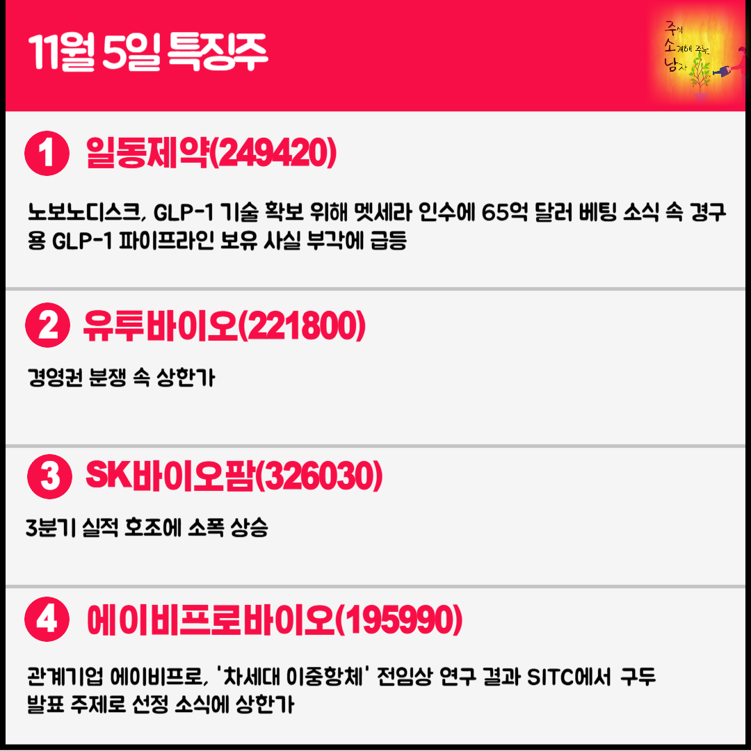 11월 5일 오늘의 특징주