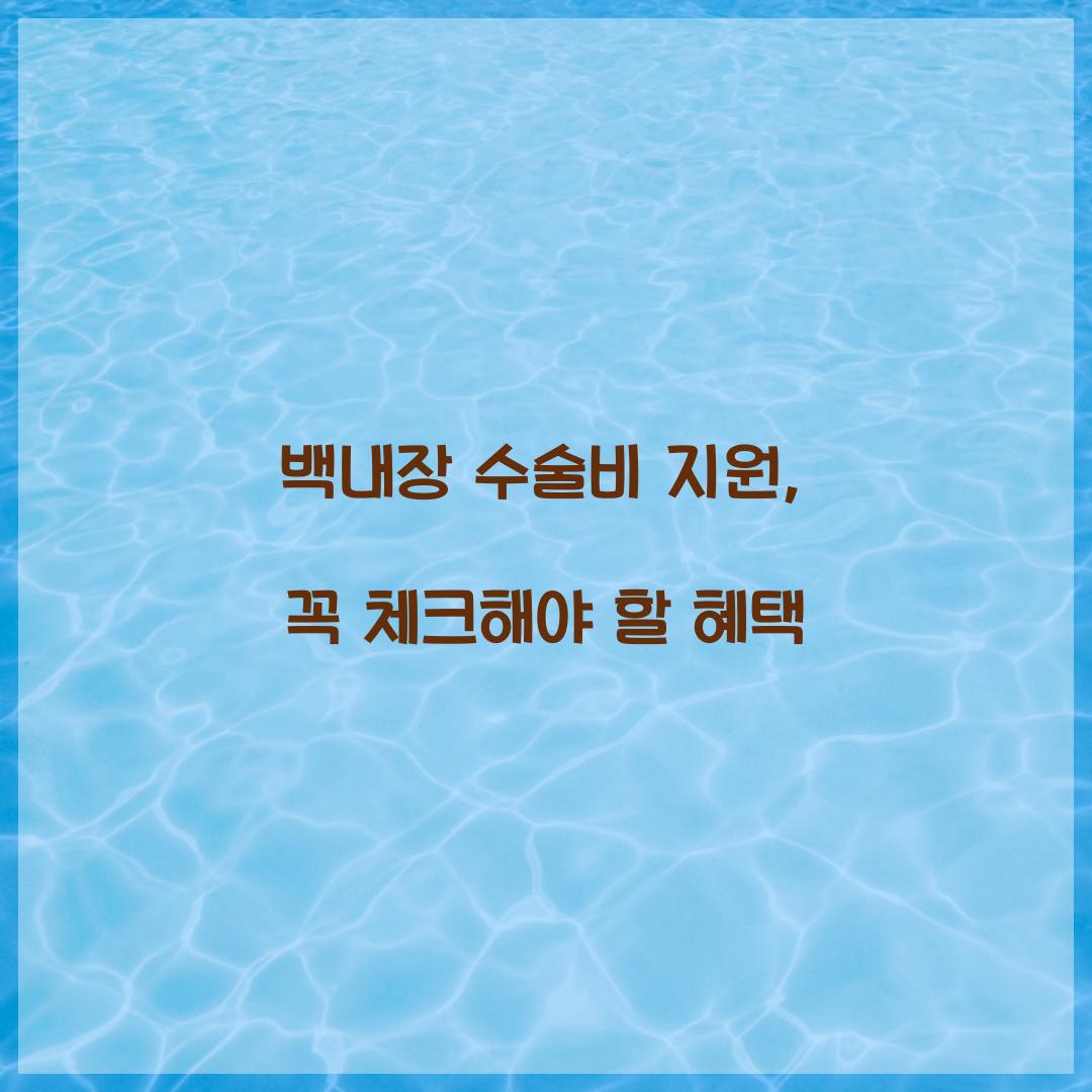 백내장 수술비 지원