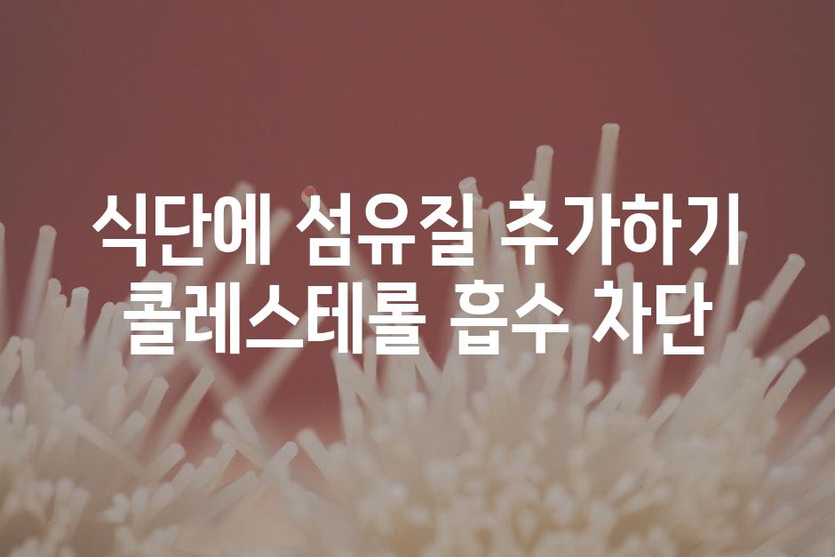 식단에 섬유질 추가하기 콜레스테롤 흡수 차단