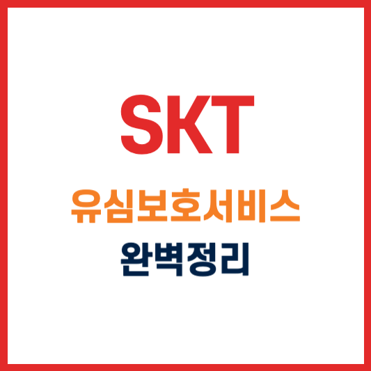 SKT 유심보호 서비스