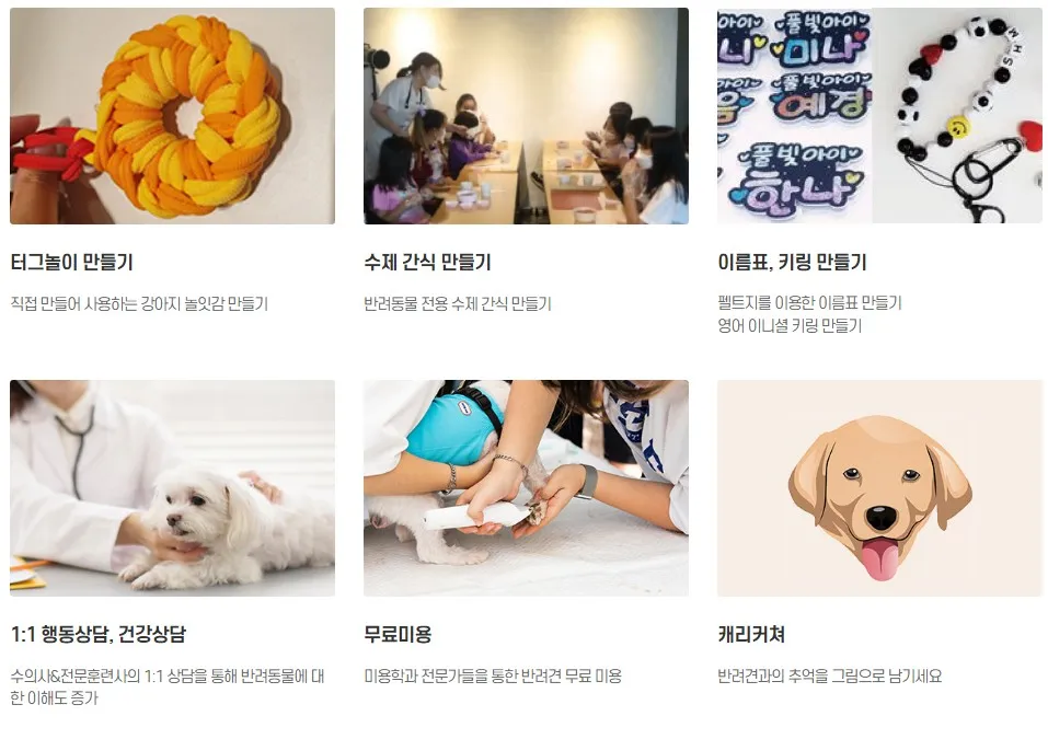 서초 독스포츠 축제 체험부스