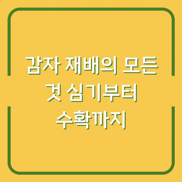 감자 재배의 모든 것 심기부터 수확까지