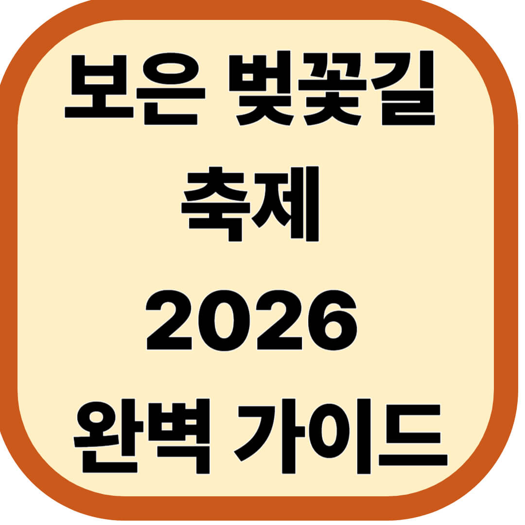 보은 벚꽃길 축제 2026 완벽 가이드