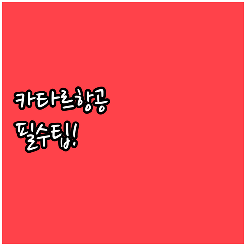 카타르항공 온라인 체크인 자주 묻는 ..