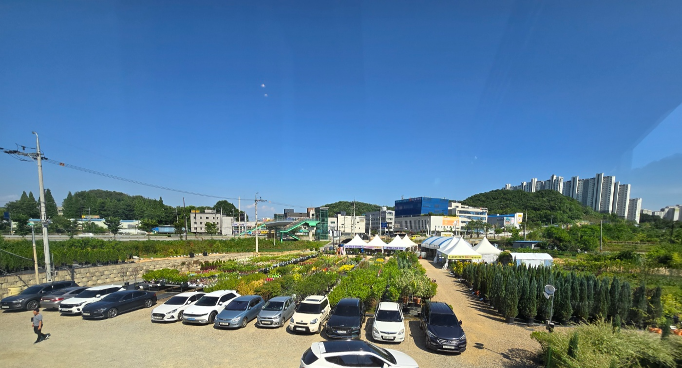 화성나무도매시장이 시원하게보여요