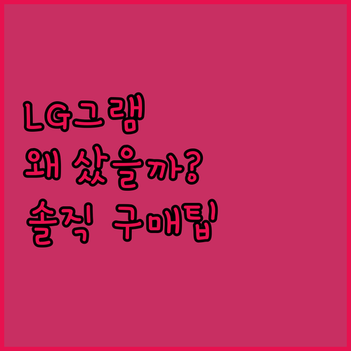 LG 그램, 왜 많은 사람들이 선택할..