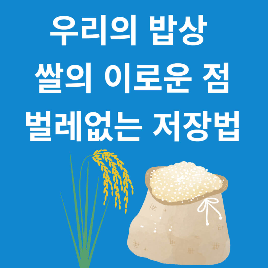 쌀의 이로운 점과 벌레없는 저장 방법