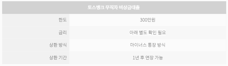 토스뱅크 무직자 비상금대출