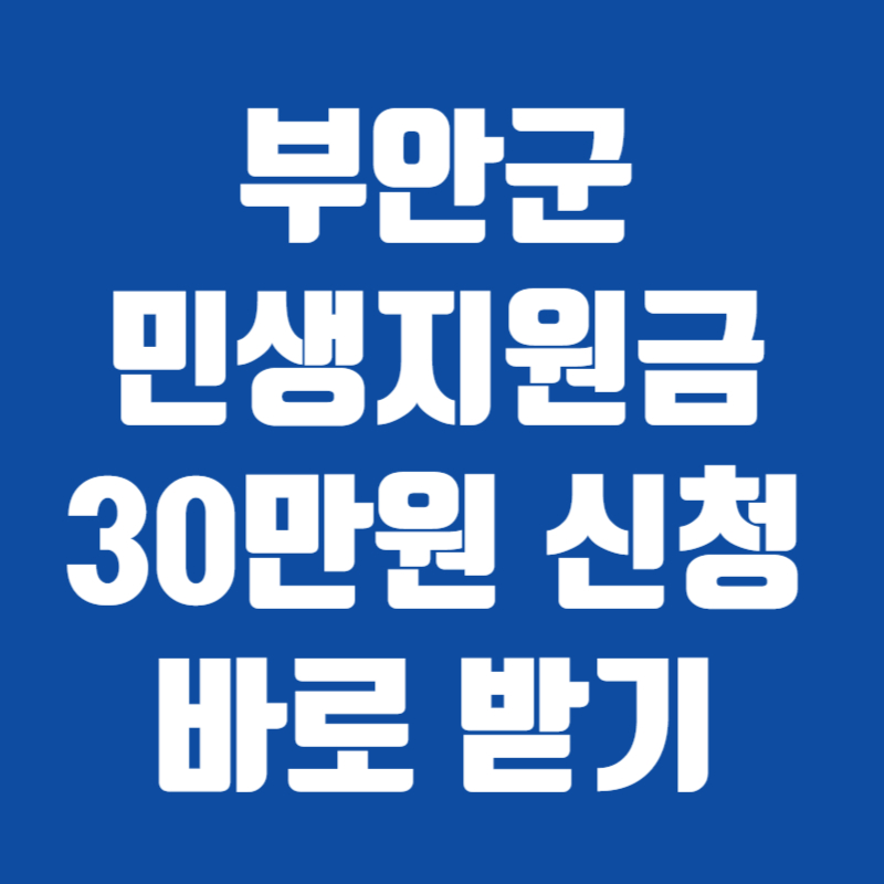 부안군 민생지원금 30만원 신청 바로 받기