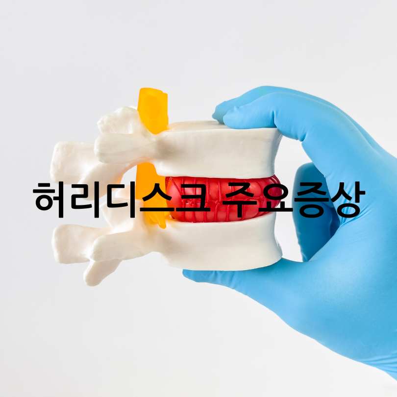 허리디스크와 허리 협착증의 차이점