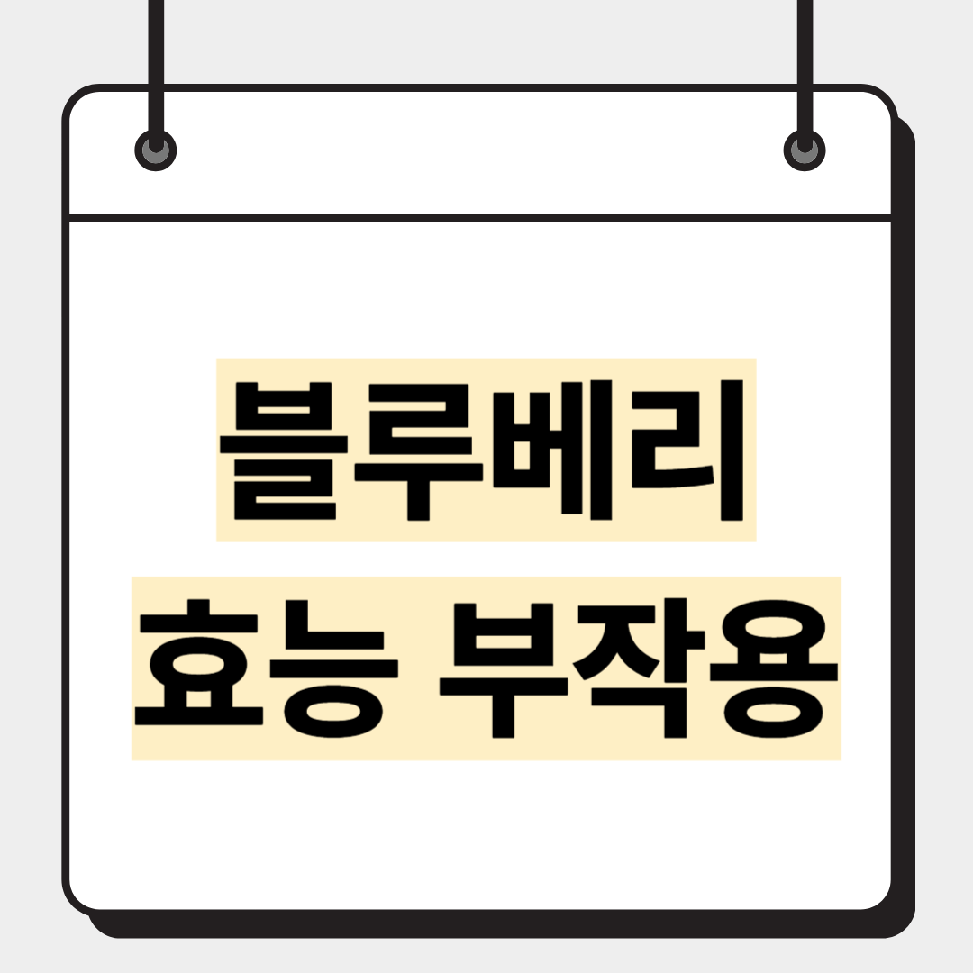 블루베리 효능 부작용