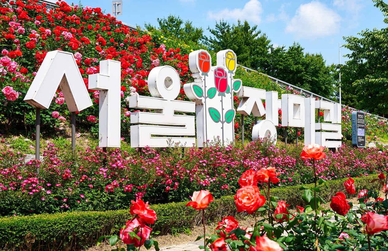 5월 서울 봄꽃 산책로