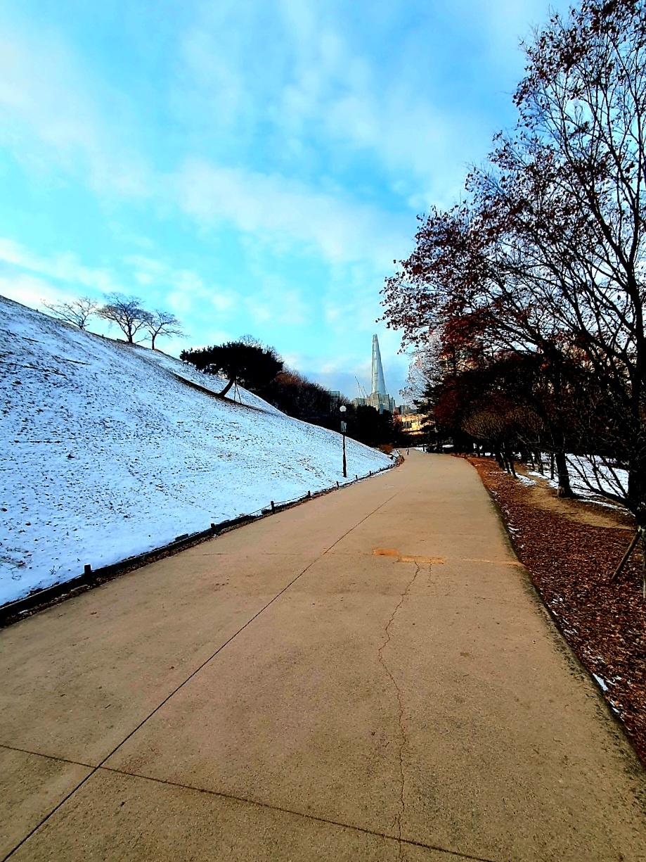겨울의-올림픽-공원을-사진에-담았습니다.