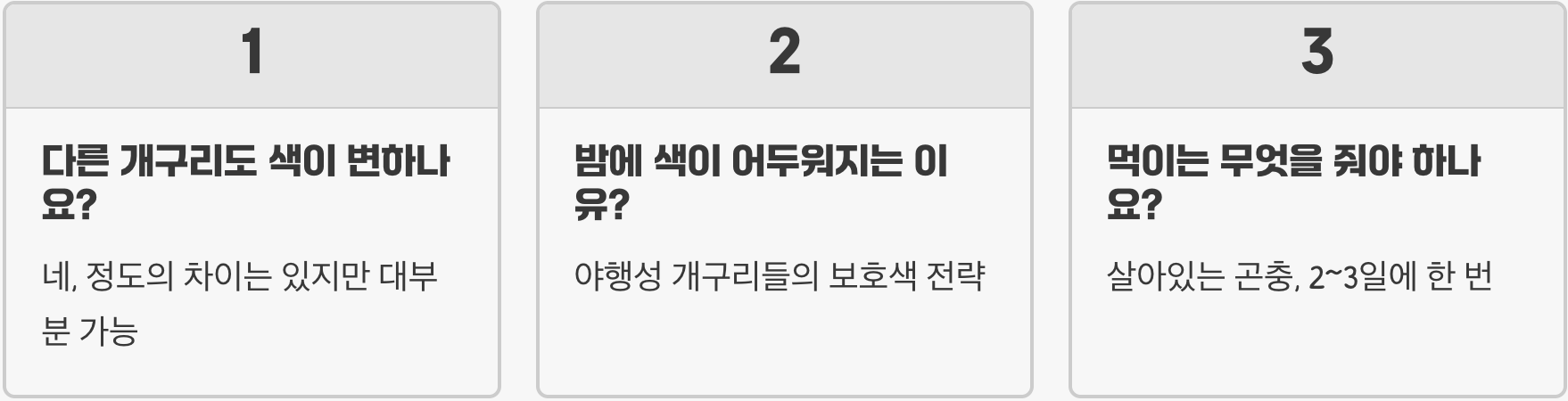 개구리키우기, 갑자기 색이 변했어요 (이유와 해결책)