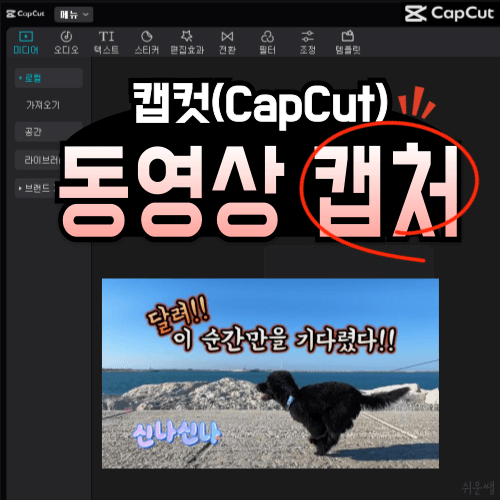 제목이미지