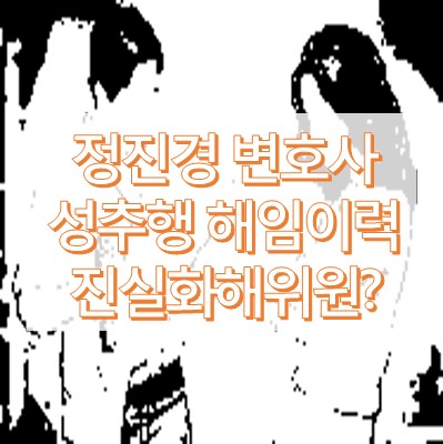 정진경 변호사 성추행