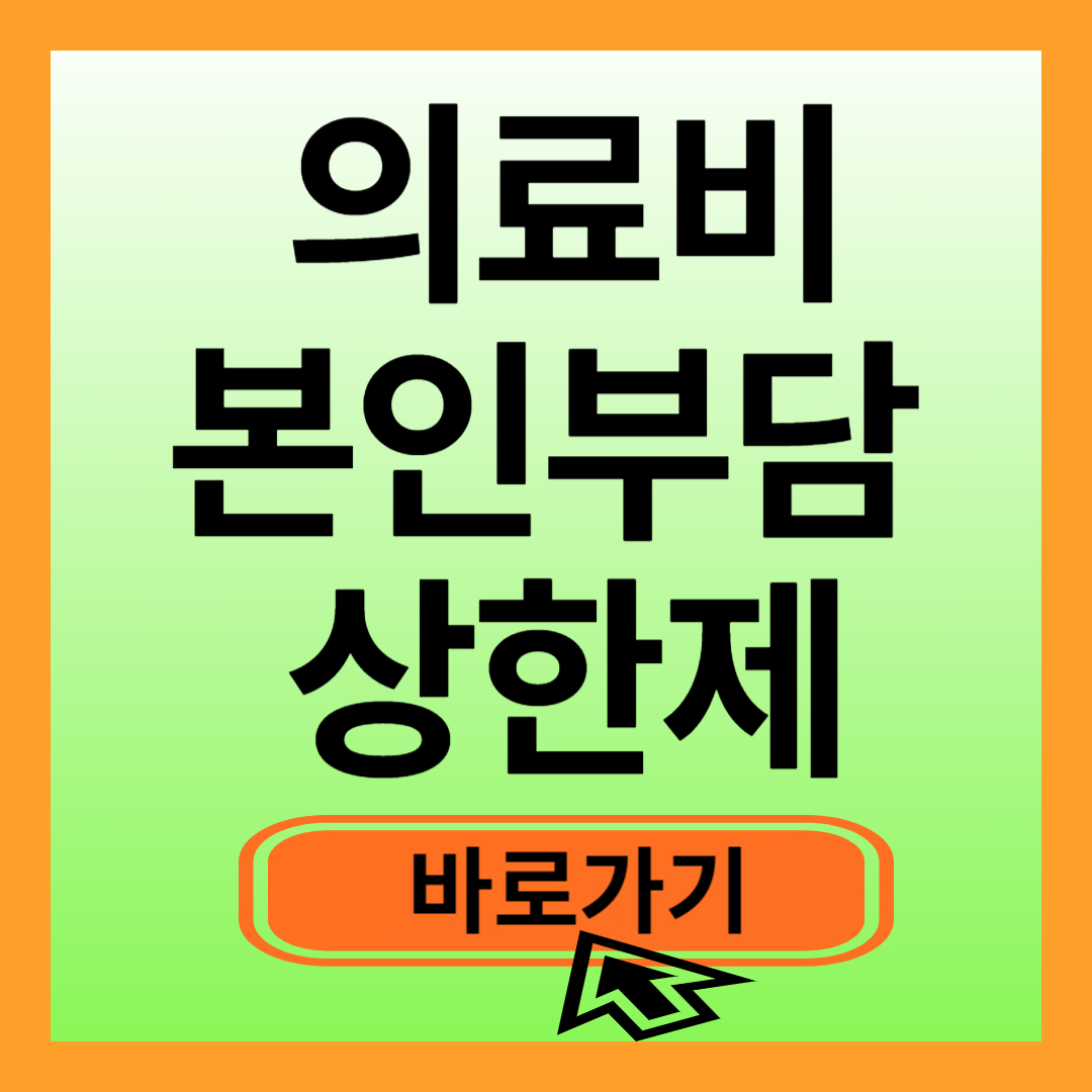 의료비 본인부담 상한제