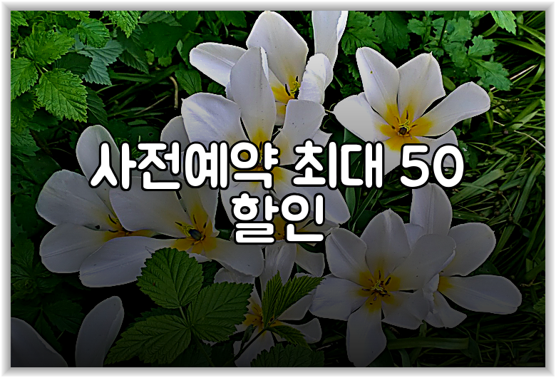 사전예약 최대 50 할인