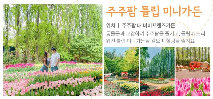 이월드 - 주주팜 튤립 미니가든