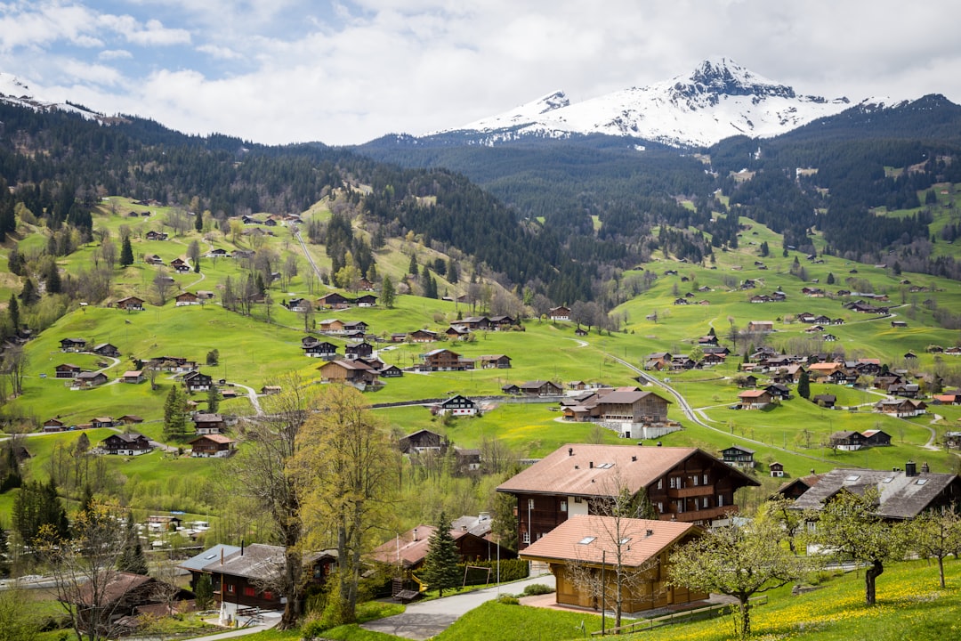 Village