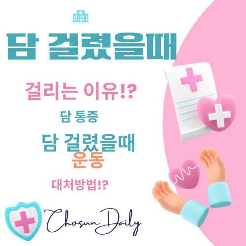 담 걸렸을때 걸리는 이유 증상 담 걸렸을때 운동