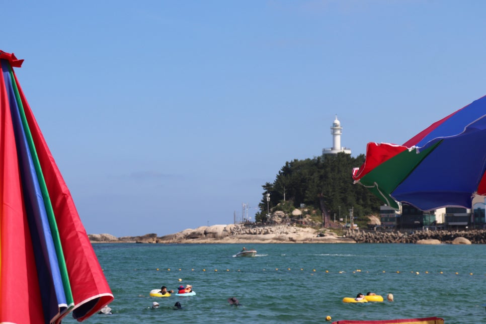 국내 해수욕장 개장일