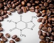 카페인의 주요 작용과 효과