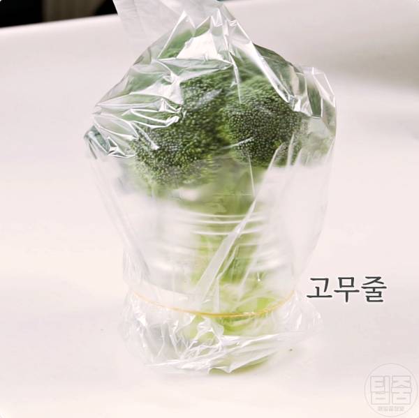 브로콜리 보관법 보관기간