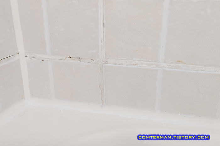 LG생활건강 홈스타 곰팡이싹 도포 시간