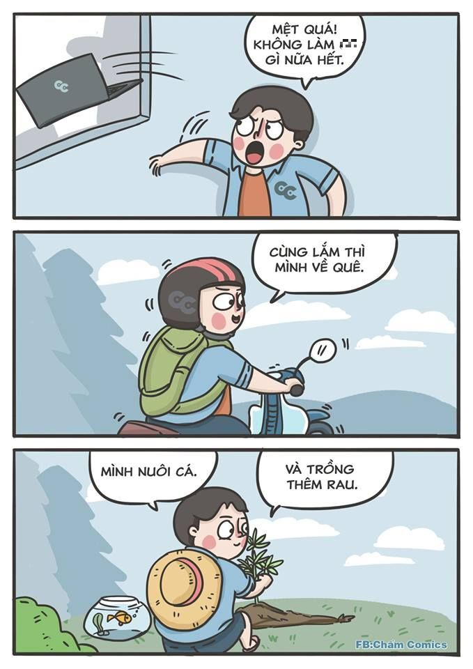 "그래봤자" 고향 내려가면 그만