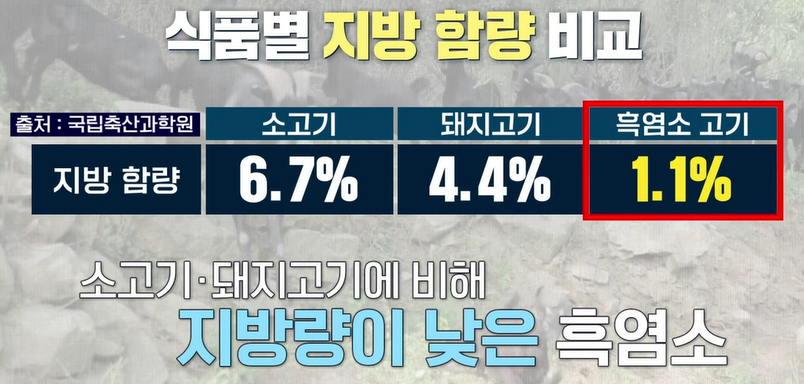 흑염소 효능