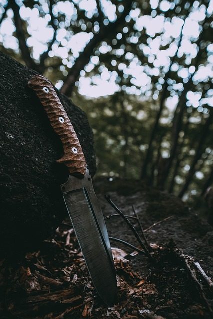 Bushcraft 도구와 장비 선택법 – 살아남는 법이 아닌, 살아가는 법