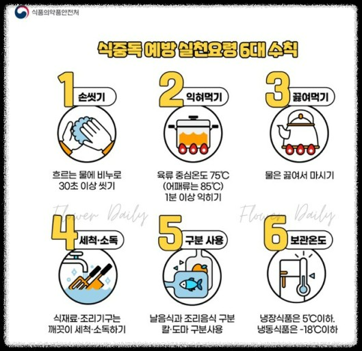 여름철 꼭 알아야 할 건강관리와 식중독 예방법