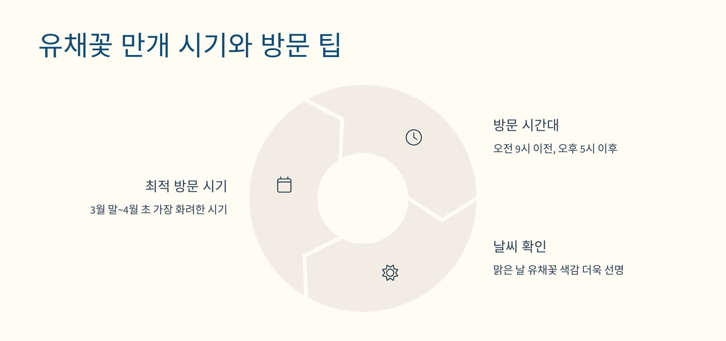 유채꽃 사진