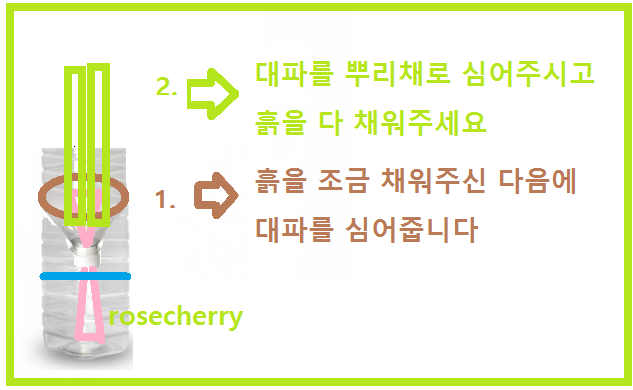 만든-자동급수화분에-대파심어주기