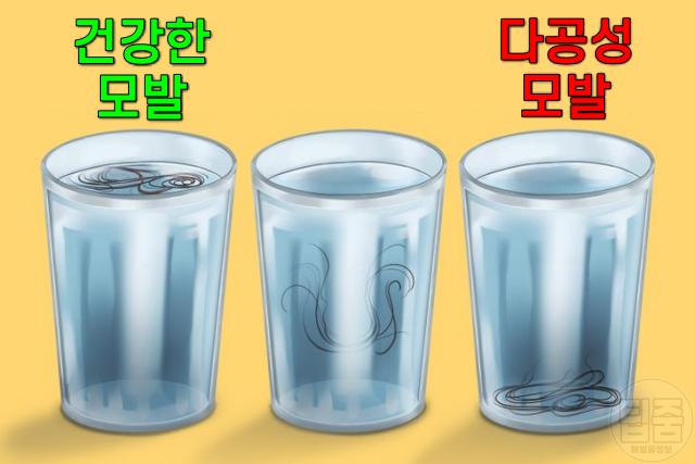 모발 다공성