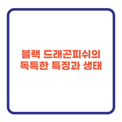 블랙 드래곤피쉬의 독특한 특징과 생태