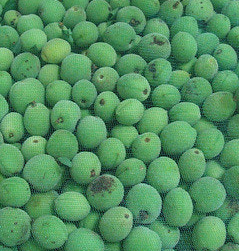 매실 효능과 부작용 고르는법 칼로리