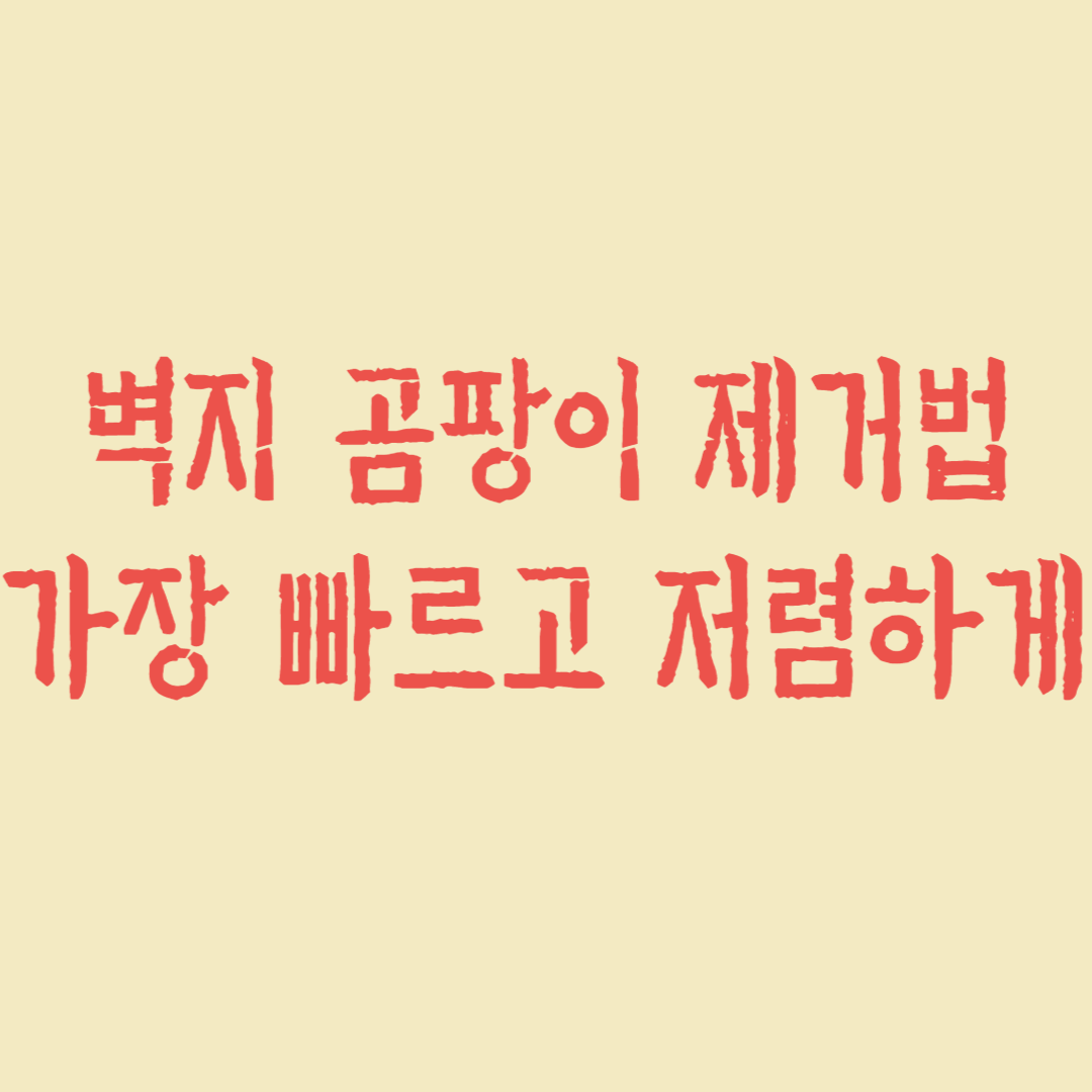 벽지 곰팡이 제거법