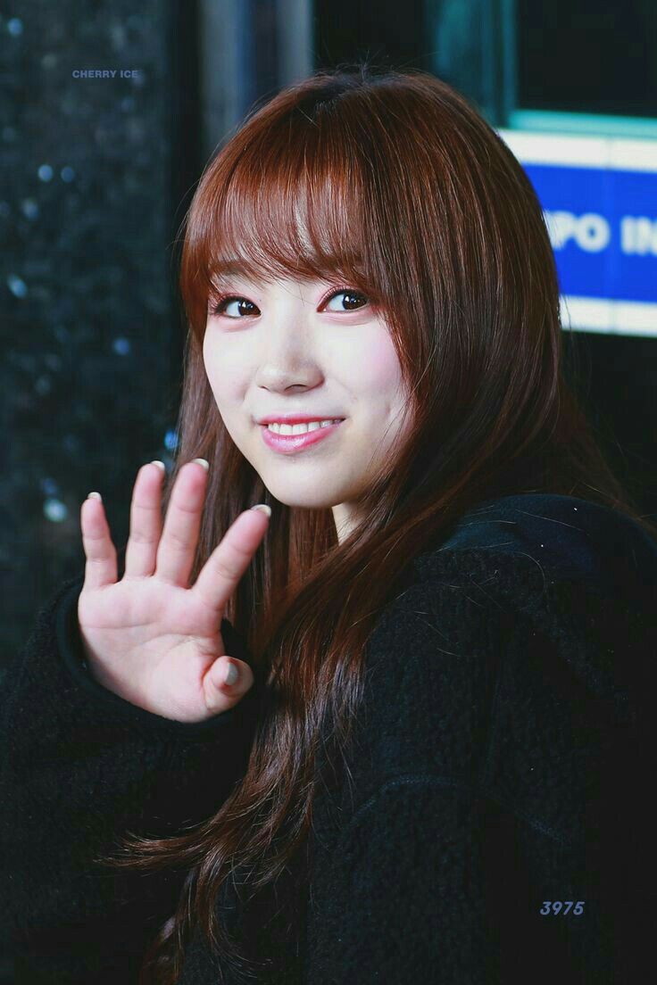 아이즈원 야부키나코 아이즈원 야부키나코