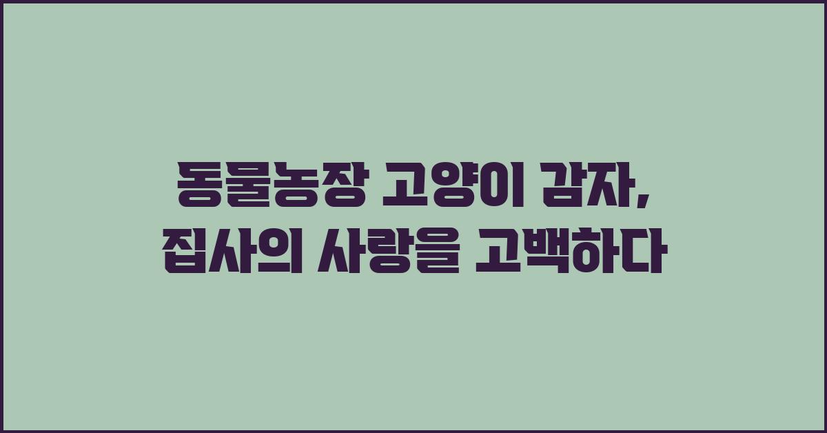 동물농장 고양이 감자