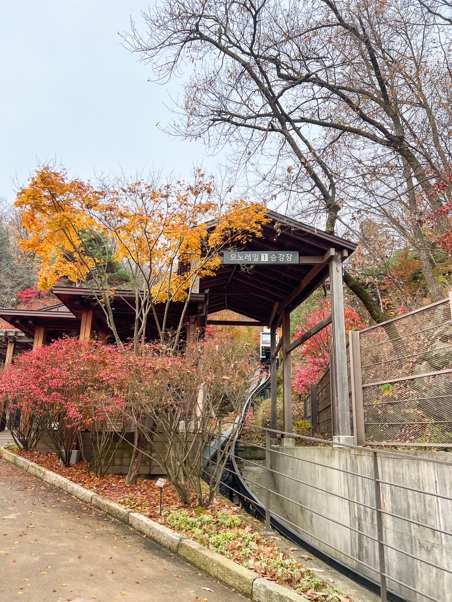 곤지암-화담숲-예약-전쟁-승리-2025년-최신-정보-총정리