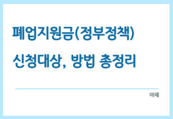 폐업지원금(정부정책)