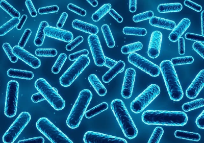 소화 불량과 발효 식품의 관계: 발효 식품으로 소화 건강 증진하기