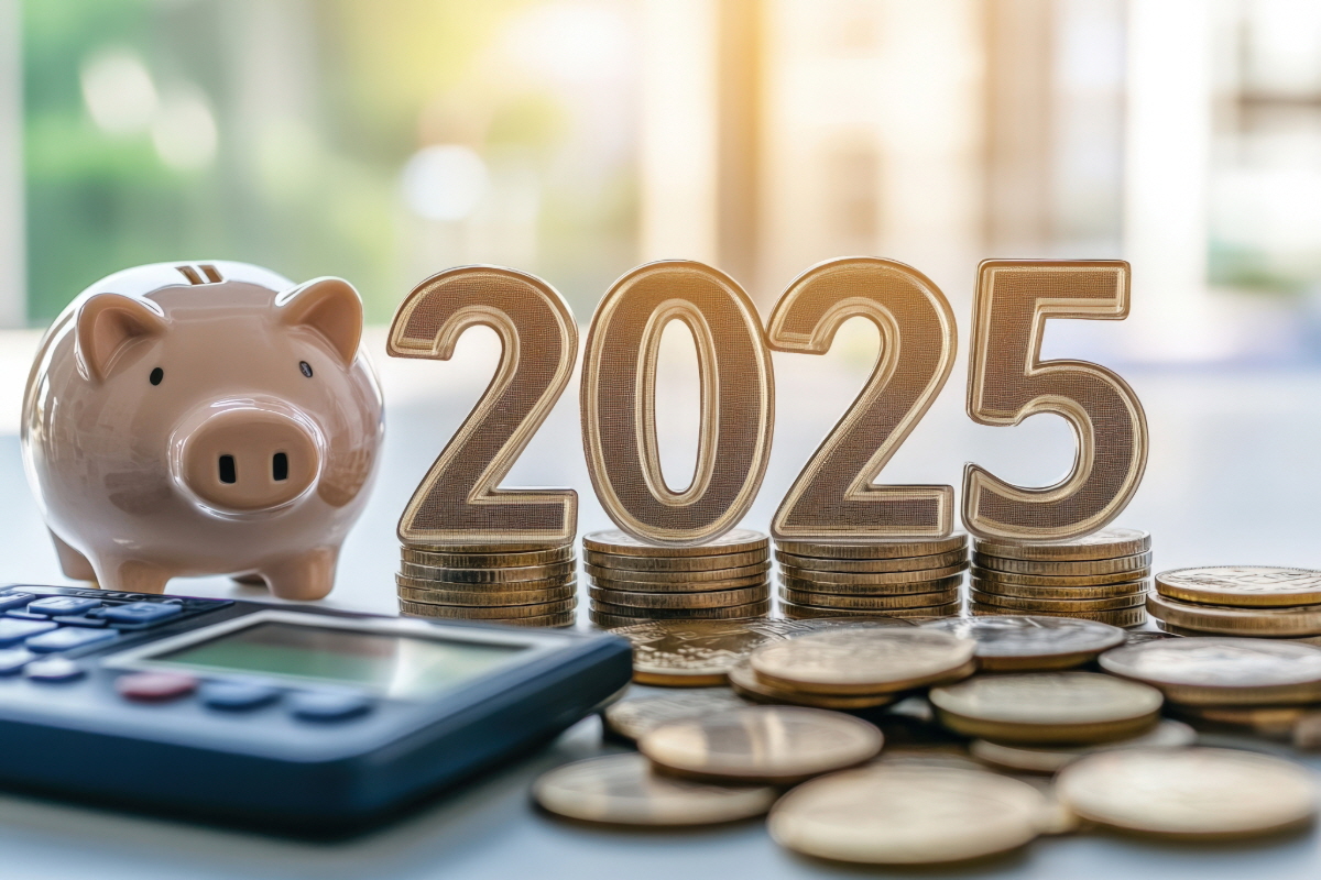 2025년 삼재띠