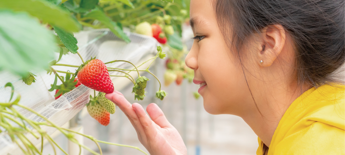 상하농원 뽀개기 시리즈 4탄❘체험프로그램 완정정복(종류, 예약 방법)